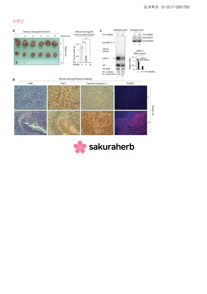 ${review_item.post_title}