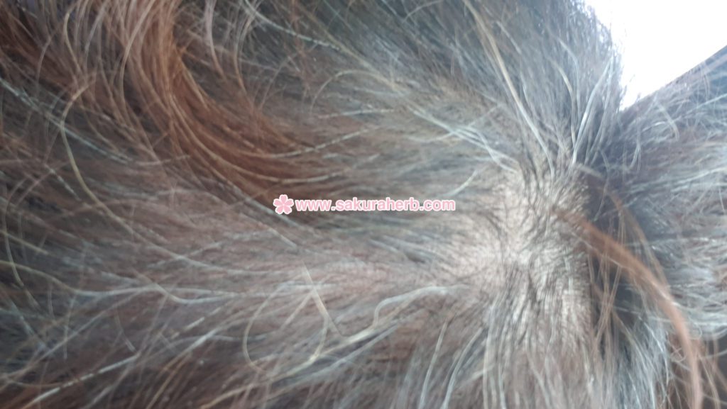 ${review_item.post_title}