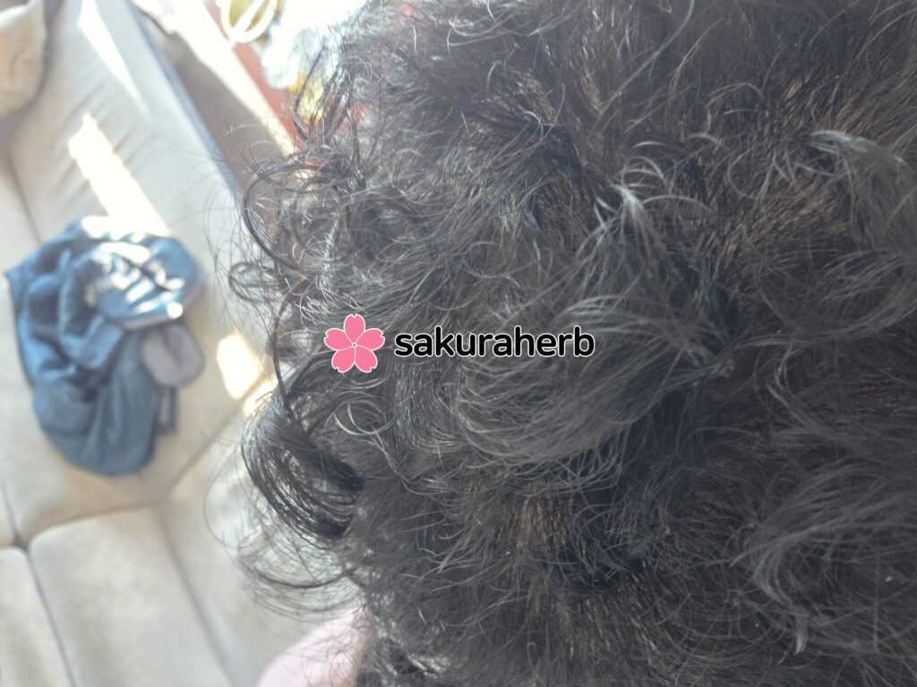 ${review_item.post_title}